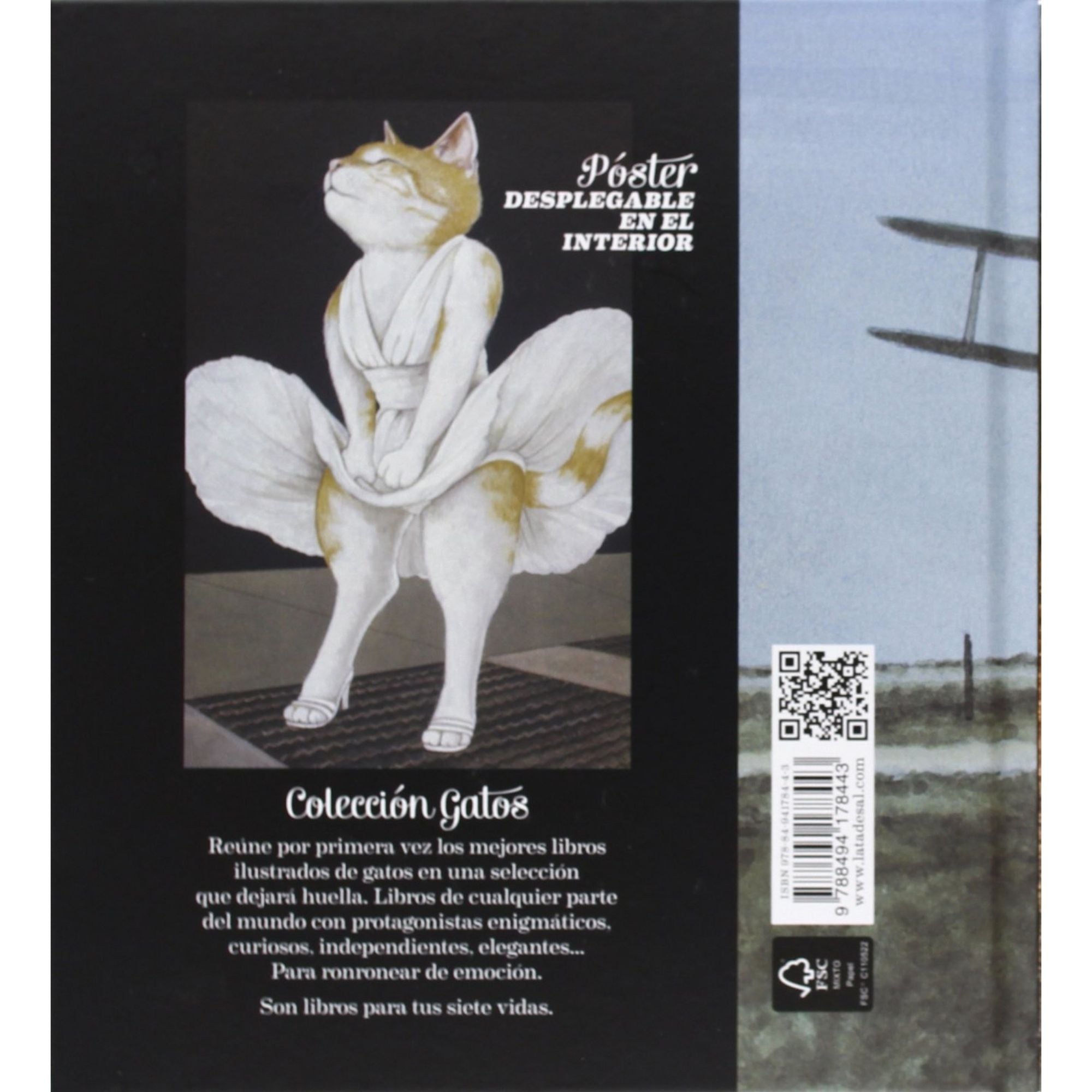 GATOS DE PELÍCULA — SUSAN HERBERT