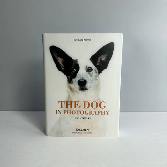 The Dog in Photography 1839–Today