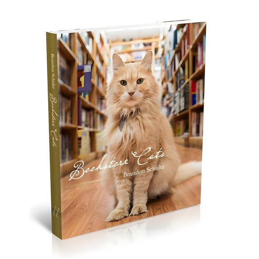 Bookstore Cats. Pasta dura