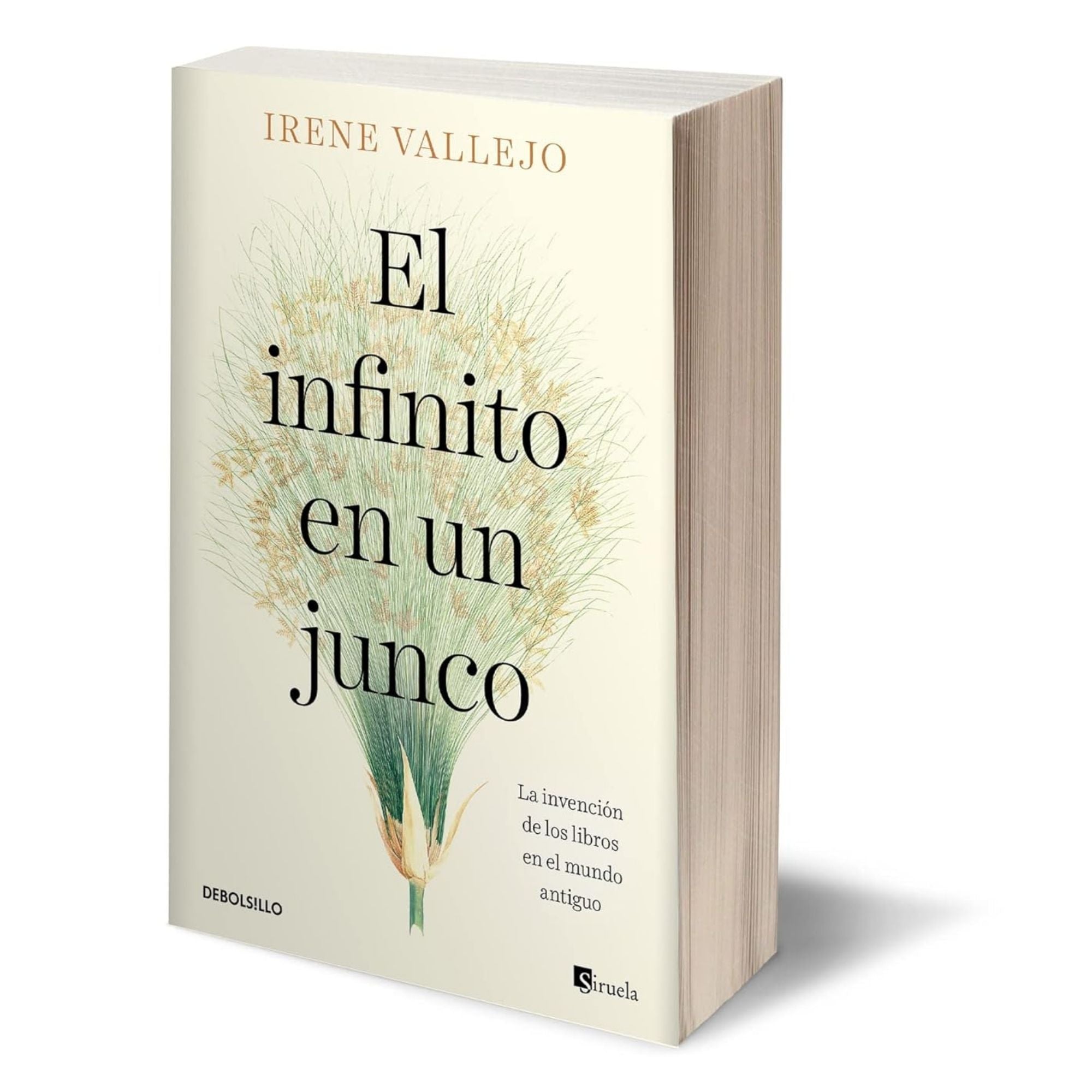 EL INFINITO EN UN JUNCO — IRENE VALLEJO
